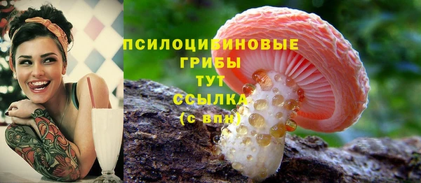 стаф Горно-Алтайск